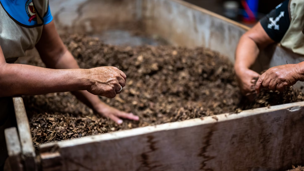 adding compost